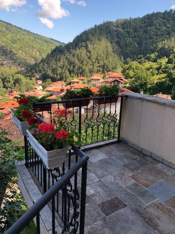 Ambrozia Spa And Relax Family House Bačkovo Esterno foto